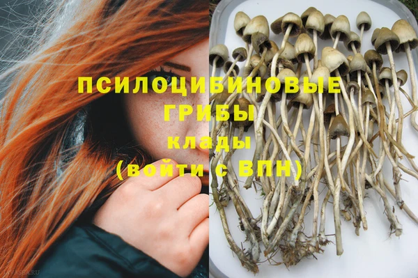 прущие грибы Алексин