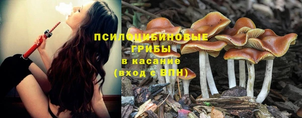 ГАЛЛЮЦИНОГЕННЫЕ ГРИБЫ Алзамай