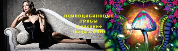 прущие грибы Алексин